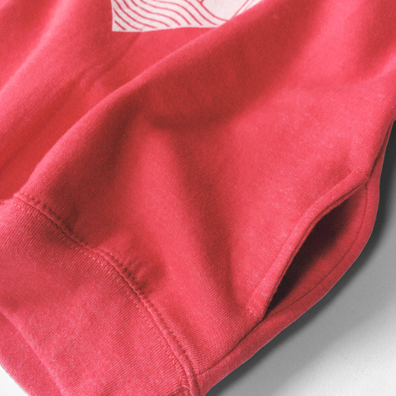 The Wisco Roots Red Toddler Hoodie